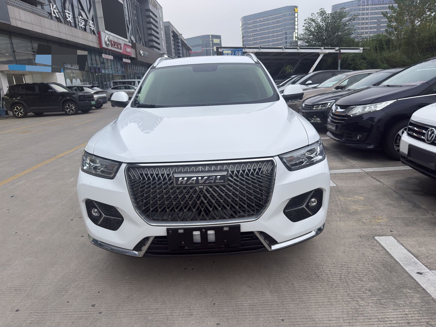 Haval H6 1.5T Champion Edition photo 2