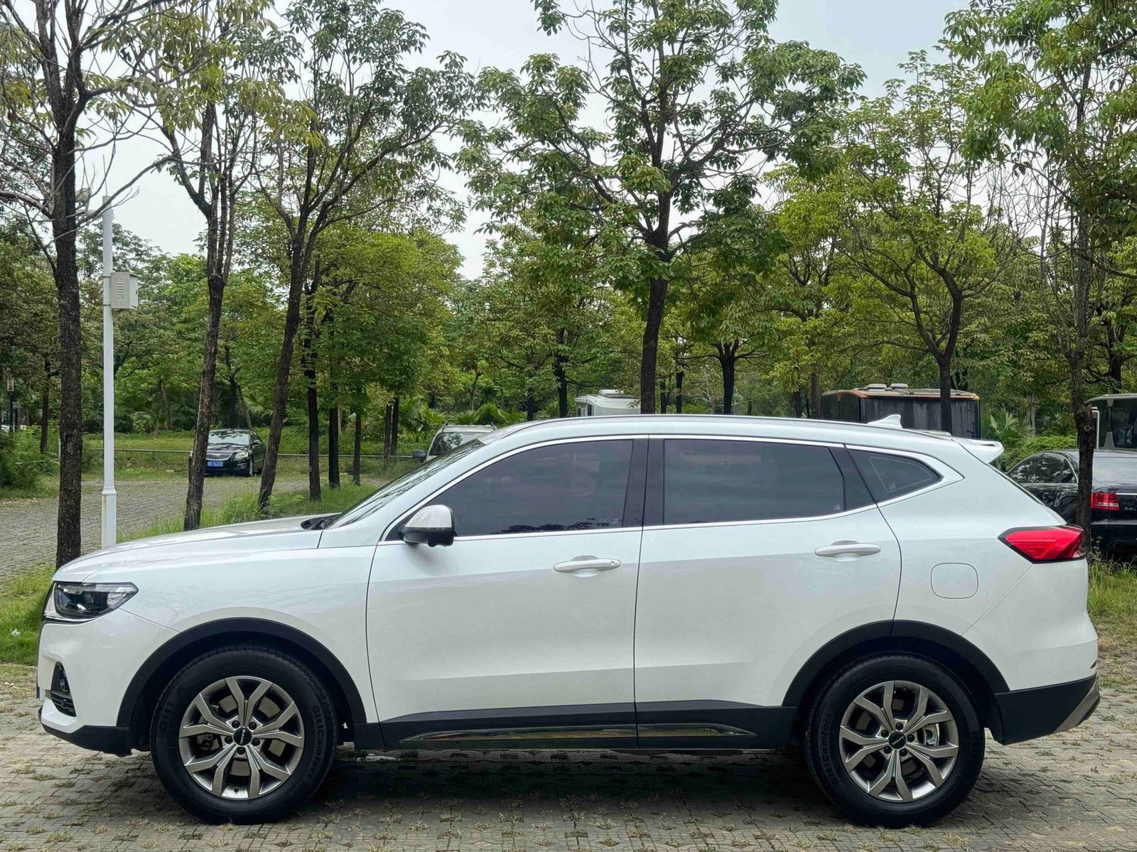 Photo du Haval H6 1.5T National Trend Edition Champion Edition 3