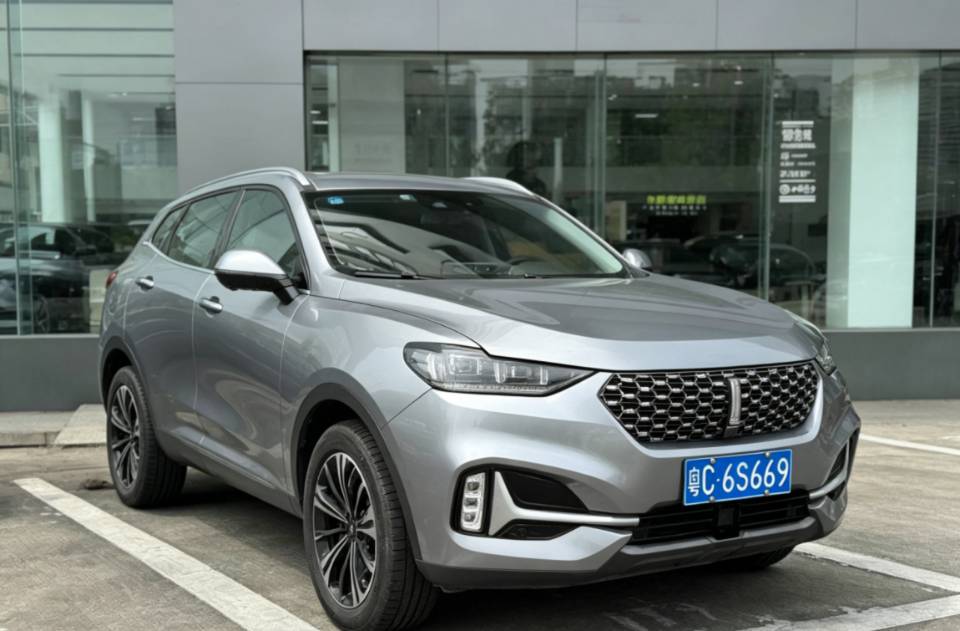 صورة WEY VV6 2.0T Two-Wheel-Drive Zhixiang+ رقم 2