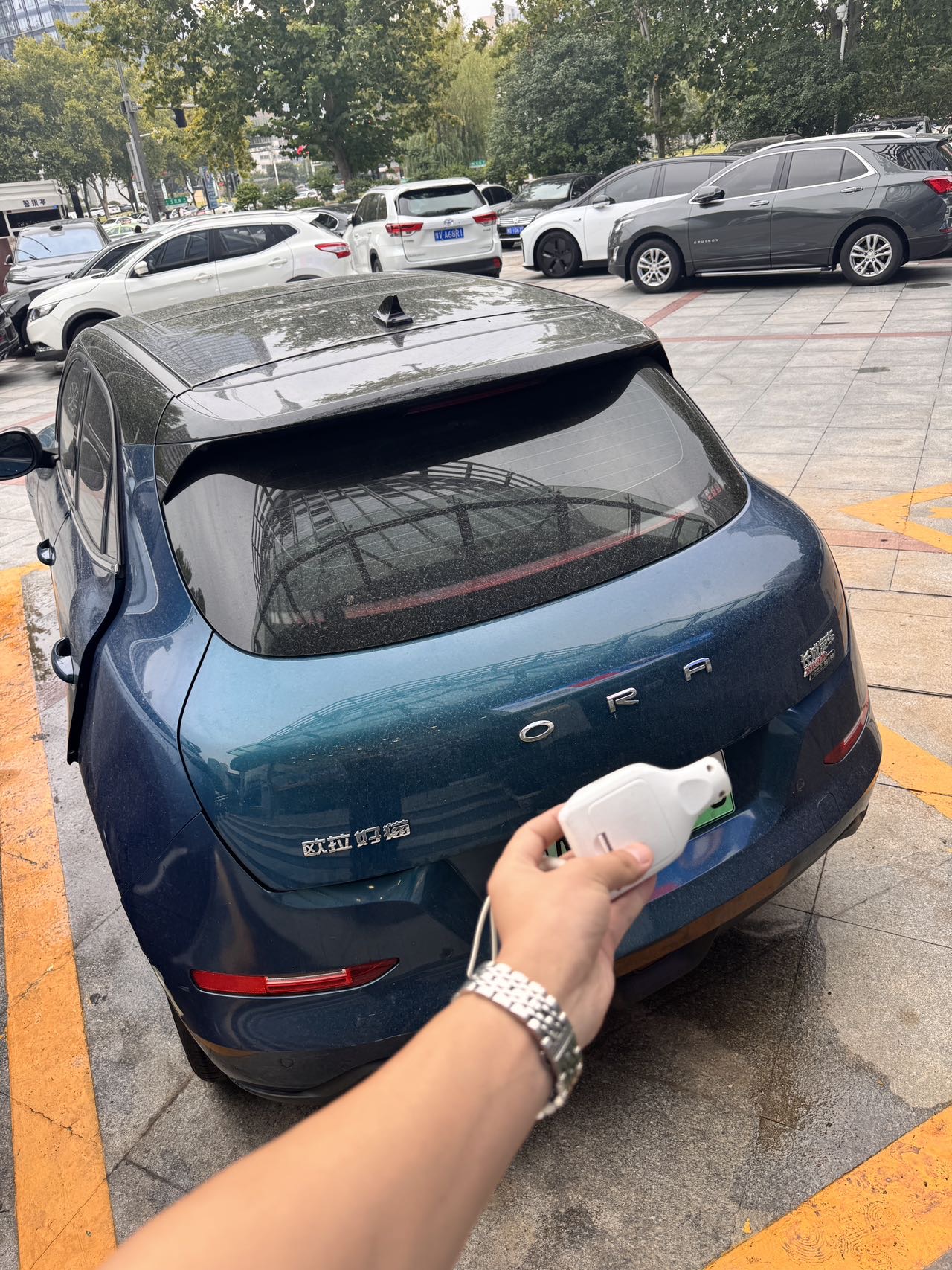 Фото ORA Ora Good Cat 400km Standard Range Venus Edition, NCM Battery — 2