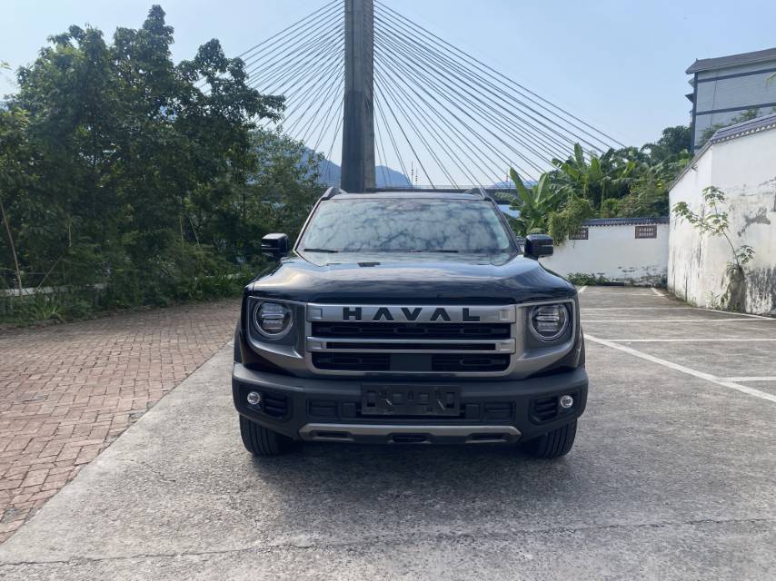 Foto del Haval Dargo Big Dog 1.5T Border Collie Edition 2