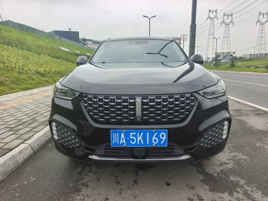 WEY VV6 2.0T Two-Wheel-Drive Zhixiang+ foto 2